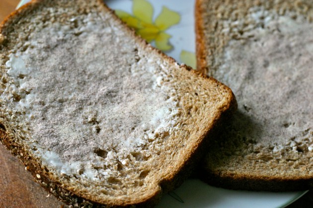 Apple Sauce Toas-Tite